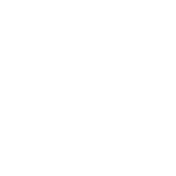 ostrich