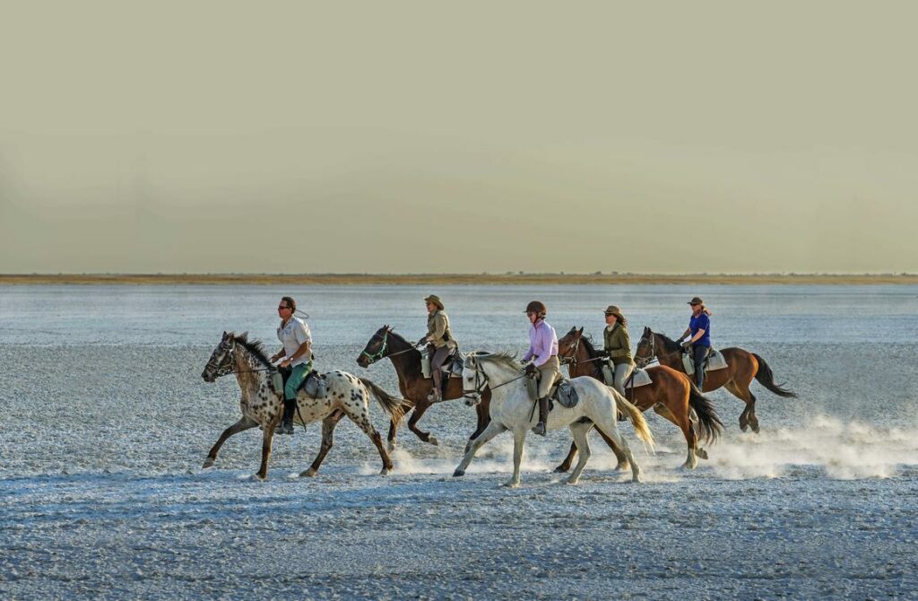 Botswana horses