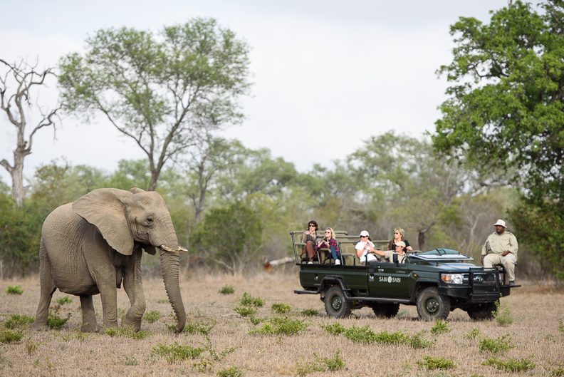 Sabi Sabi safari