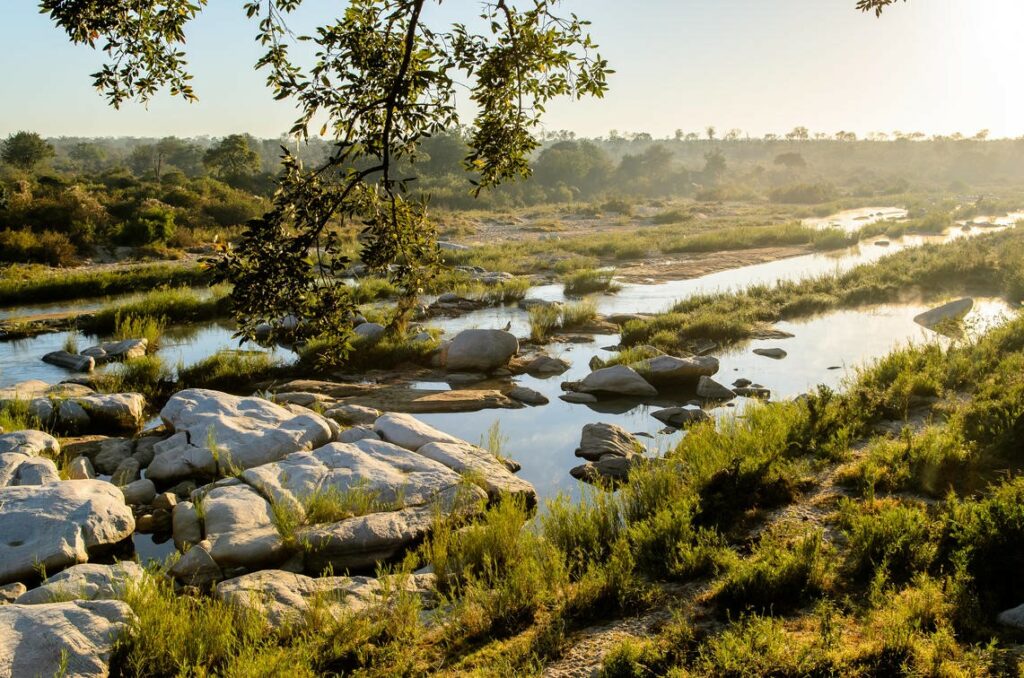 Singita Conservation 2