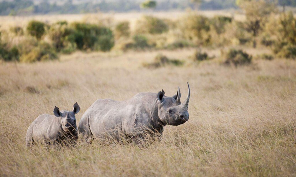 magazine-cropped-dreamstime_xl_39302992